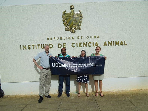 UConn Faculty and Students in Cuba